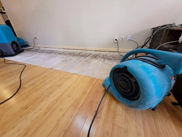 Professional Burst Pipe Water Damage technician working in Owensville, OH